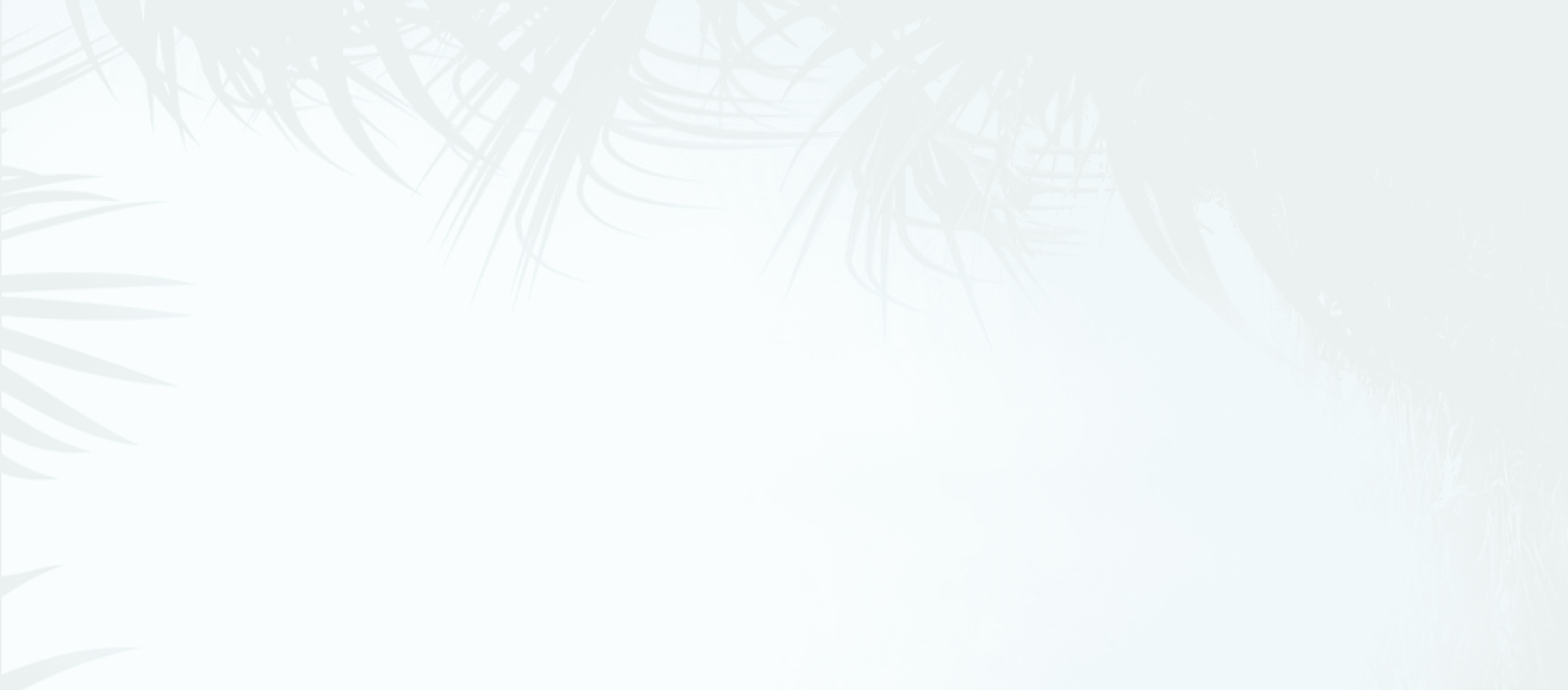 Rectangle background shape