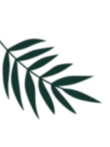 left leaf