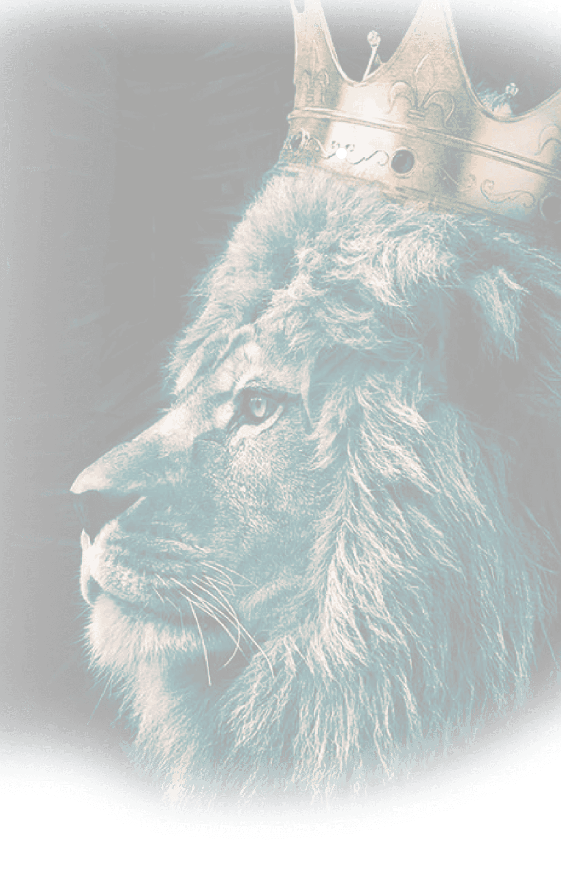 lion with crown picture